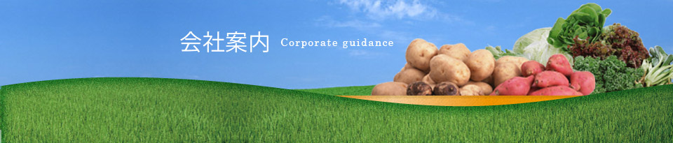 会社案内